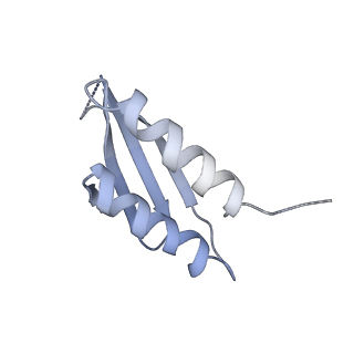 3037_3jaj_S4_v1-3
Structure of the engaged state of the mammalian SRP-ribosome complex