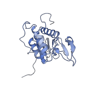 3037_3jaj_SA_v1-3
Structure of the engaged state of the mammalian SRP-ribosome complex