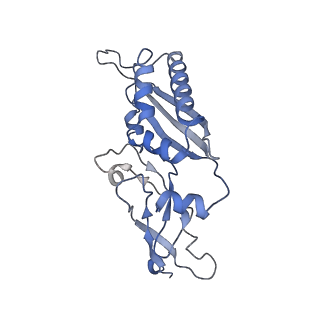 3037_3jaj_SB_v1-3
Structure of the engaged state of the mammalian SRP-ribosome complex