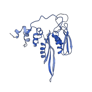 3037_3jaj_SC_v1-3
Structure of the engaged state of the mammalian SRP-ribosome complex
