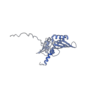 3037_3jaj_SD_v1-3
Structure of the engaged state of the mammalian SRP-ribosome complex
