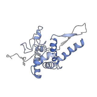 3037_3jaj_SF_v1-3
Structure of the engaged state of the mammalian SRP-ribosome complex