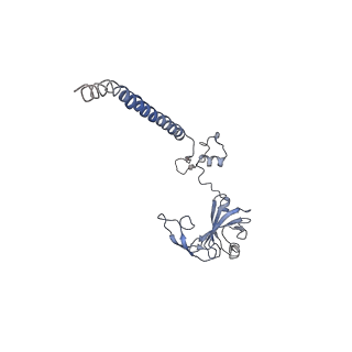 3037_3jaj_SG_v1-3
Structure of the engaged state of the mammalian SRP-ribosome complex