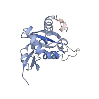 3037_3jaj_SH_v1-3
Structure of the engaged state of the mammalian SRP-ribosome complex