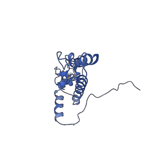 3037_3jaj_SJ_v1-3
Structure of the engaged state of the mammalian SRP-ribosome complex