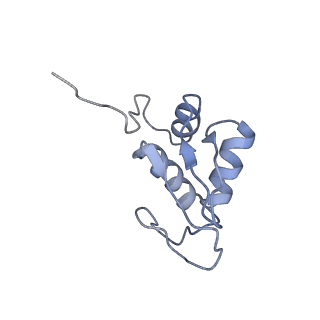 3037_3jaj_SK_v1-3
Structure of the engaged state of the mammalian SRP-ribosome complex