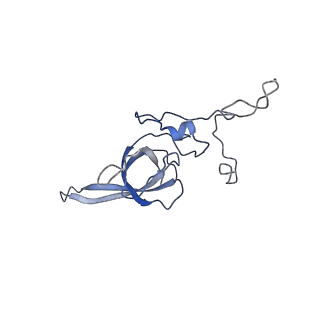 3037_3jaj_SL_v1-3
Structure of the engaged state of the mammalian SRP-ribosome complex