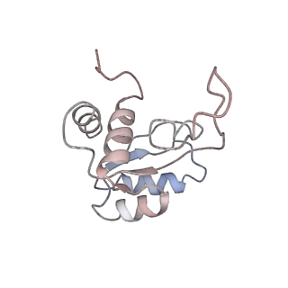 3037_3jaj_SM_v1-3
Structure of the engaged state of the mammalian SRP-ribosome complex