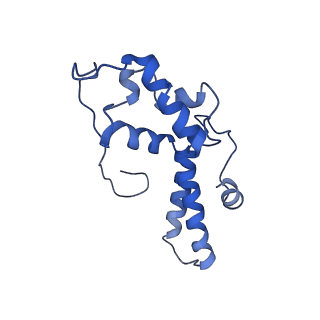 3037_3jaj_SN_v1-3
Structure of the engaged state of the mammalian SRP-ribosome complex