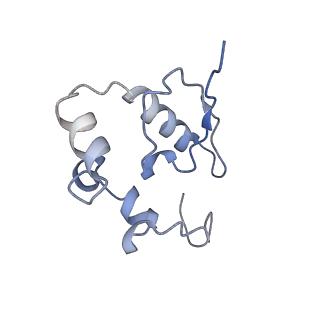 3037_3jaj_SP_v1-3
Structure of the engaged state of the mammalian SRP-ribosome complex