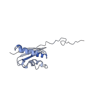 3037_3jaj_SQ_v1-3
Structure of the engaged state of the mammalian SRP-ribosome complex