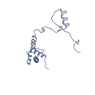 3037_3jaj_SR_v1-3
Structure of the engaged state of the mammalian SRP-ribosome complex