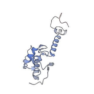 3037_3jaj_SS_v1-3
Structure of the engaged state of the mammalian SRP-ribosome complex