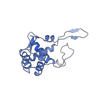 3037_3jaj_ST_v1-3
Structure of the engaged state of the mammalian SRP-ribosome complex
