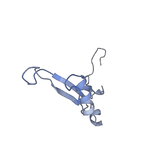 3037_3jaj_SV_v1-3
Structure of the engaged state of the mammalian SRP-ribosome complex