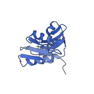 3037_3jaj_SW_v1-3
Structure of the engaged state of the mammalian SRP-ribosome complex