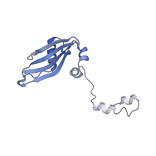 3037_3jaj_SY_v1-3
Structure of the engaged state of the mammalian SRP-ribosome complex
