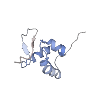 3037_3jaj_SZ_v1-3
Structure of the engaged state of the mammalian SRP-ribosome complex