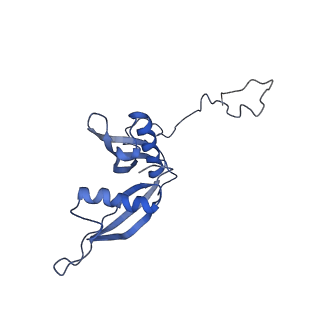 3037_3jaj_S_v1-3
Structure of the engaged state of the mammalian SRP-ribosome complex