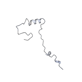 3037_3jaj_Se_v1-3
Structure of the engaged state of the mammalian SRP-ribosome complex