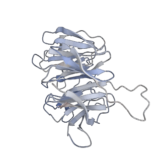 3037_3jaj_Sg_v1-3
Structure of the engaged state of the mammalian SRP-ribosome complex