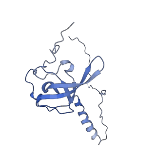 3037_3jaj_T_v1-3
Structure of the engaged state of the mammalian SRP-ribosome complex