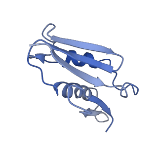 3037_3jaj_U_v1-3
Structure of the engaged state of the mammalian SRP-ribosome complex