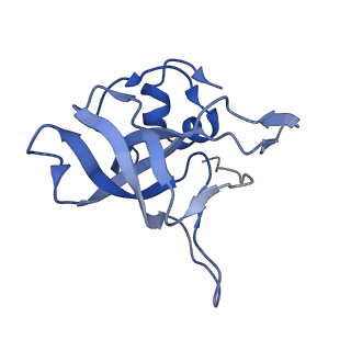 3037_3jaj_V_v1-3
Structure of the engaged state of the mammalian SRP-ribosome complex
