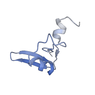 3037_3jaj_W_v1-3
Structure of the engaged state of the mammalian SRP-ribosome complex