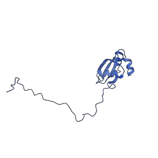 3037_3jaj_X_v1-3
Structure of the engaged state of the mammalian SRP-ribosome complex