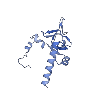 3037_3jaj_Y_v1-3
Structure of the engaged state of the mammalian SRP-ribosome complex