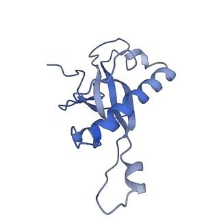 3037_3jaj_Z_v1-3
Structure of the engaged state of the mammalian SRP-ribosome complex