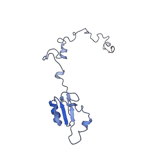 3037_3jaj_a_v1-3
Structure of the engaged state of the mammalian SRP-ribosome complex