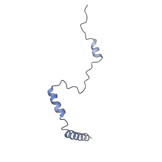 3037_3jaj_b_v1-3
Structure of the engaged state of the mammalian SRP-ribosome complex
