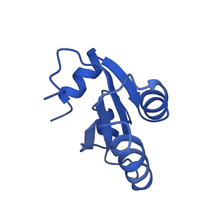 3037_3jaj_c_v1-3
Structure of the engaged state of the mammalian SRP-ribosome complex