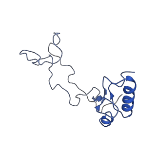 3037_3jaj_e_v1-3
Structure of the engaged state of the mammalian SRP-ribosome complex