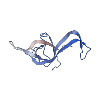 3037_3jaj_f_v1-3
Structure of the engaged state of the mammalian SRP-ribosome complex