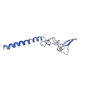 3037_3jaj_g_v1-3
Structure of the engaged state of the mammalian SRP-ribosome complex