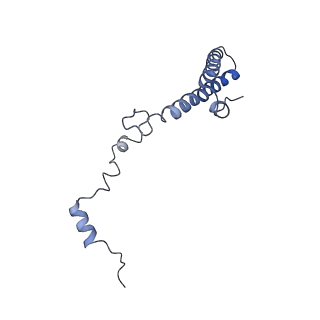 3037_3jaj_h_v1-3
Structure of the engaged state of the mammalian SRP-ribosome complex