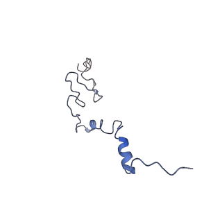 3037_3jaj_j_v1-3
Structure of the engaged state of the mammalian SRP-ribosome complex