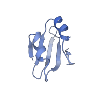 3037_3jaj_k_v1-3
Structure of the engaged state of the mammalian SRP-ribosome complex