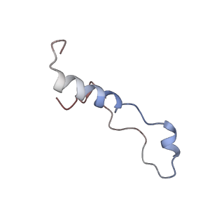 3037_3jaj_l_v1-3
Structure of the engaged state of the mammalian SRP-ribosome complex