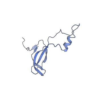3037_3jaj_o_v1-3
Structure of the engaged state of the mammalian SRP-ribosome complex