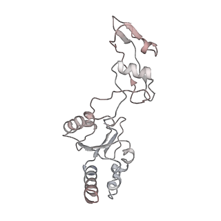 3037_3jaj_q_v1-3
Structure of the engaged state of the mammalian SRP-ribosome complex