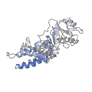 3037_3jaj_z_v1-3
Structure of the engaged state of the mammalian SRP-ribosome complex