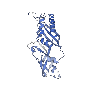 3038_3jag_BB_v1-2
Structure of a mammalian ribosomal termination complex with ABCE1, eRF1(AAQ), and the UAA stop codon