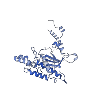 3038_3jag_D_v1-2
Structure of a mammalian ribosomal termination complex with ABCE1, eRF1(AAQ), and the UAA stop codon