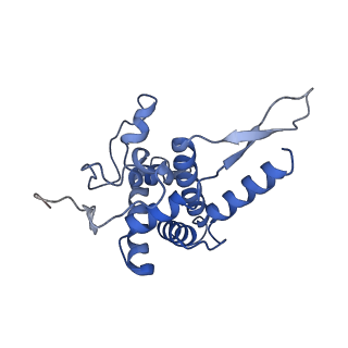 3038_3jag_FF_v1-2
Structure of a mammalian ribosomal termination complex with ABCE1, eRF1(AAQ), and the UAA stop codon