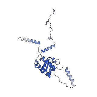 3038_3jag_G_v1-2
Structure of a mammalian ribosomal termination complex with ABCE1, eRF1(AAQ), and the UAA stop codon