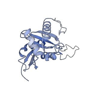 3038_3jag_HH_v1-2
Structure of a mammalian ribosomal termination complex with ABCE1, eRF1(AAQ), and the UAA stop codon